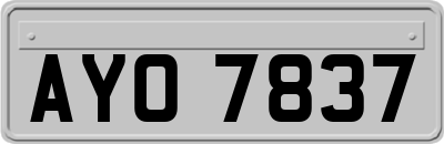 AYO7837