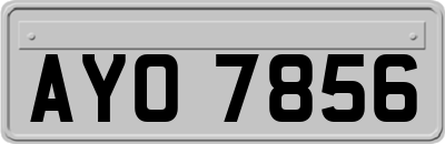 AYO7856