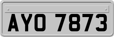 AYO7873