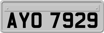 AYO7929