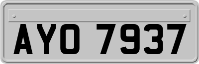 AYO7937