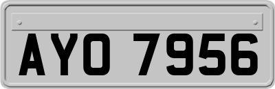 AYO7956