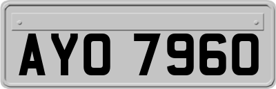AYO7960
