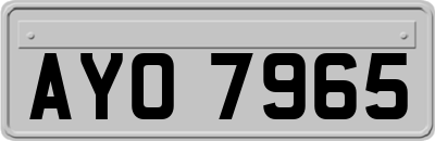 AYO7965