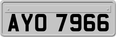 AYO7966