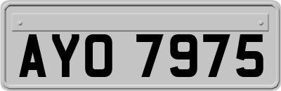 AYO7975
