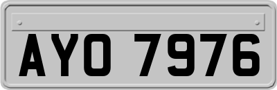 AYO7976