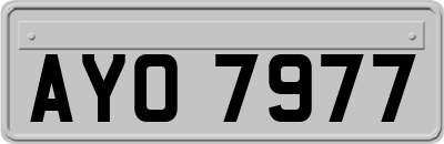 AYO7977