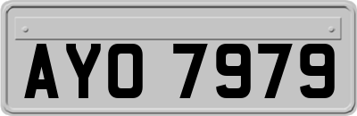 AYO7979