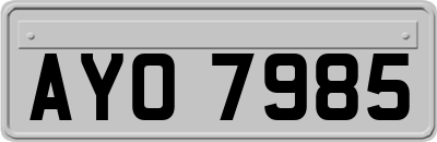 AYO7985