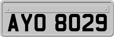 AYO8029