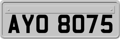 AYO8075