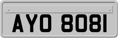 AYO8081