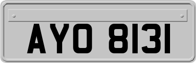 AYO8131