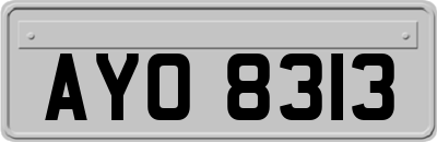 AYO8313