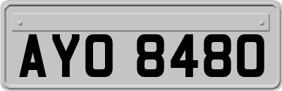 AYO8480