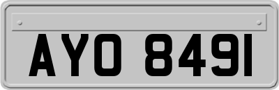 AYO8491