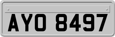 AYO8497