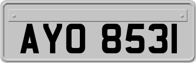 AYO8531