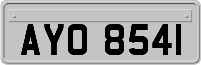 AYO8541