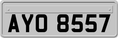 AYO8557