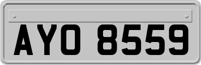 AYO8559