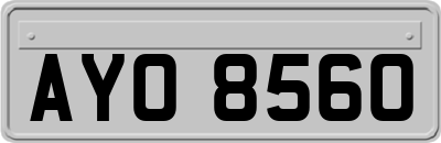 AYO8560