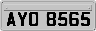 AYO8565