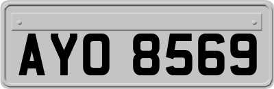 AYO8569