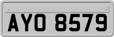 AYO8579