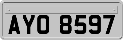AYO8597