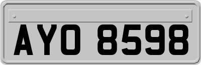 AYO8598