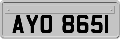 AYO8651