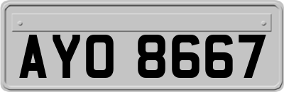 AYO8667