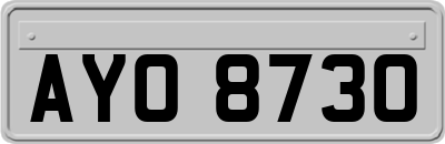 AYO8730