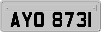 AYO8731
