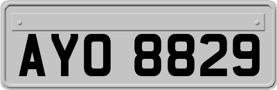 AYO8829