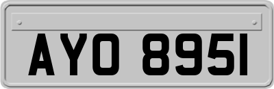 AYO8951