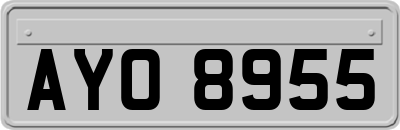 AYO8955