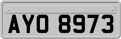 AYO8973