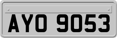 AYO9053