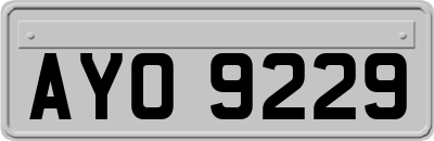 AYO9229
