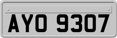 AYO9307