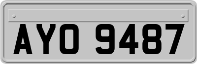 AYO9487
