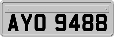AYO9488