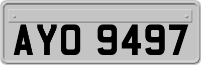 AYO9497