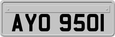 AYO9501