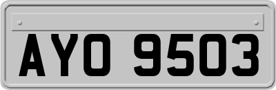 AYO9503