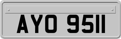 AYO9511