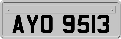 AYO9513